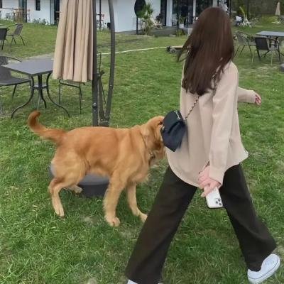 炒金男勇夺真爱